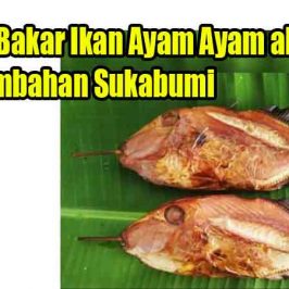 Resep Bakar Ikan Ayam Ayam ala Pangumbahan Sukabumi