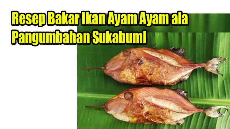 Resep Bakar Ikan Ayam Ayam ala Pangumbahan Sukabumi