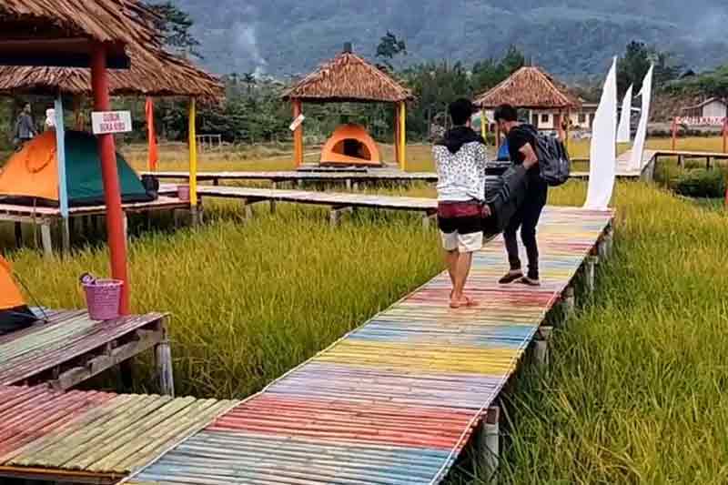 Wisata Unik : Camping Di Sawah Sambil Menikmati Hutan Gunung Leuser