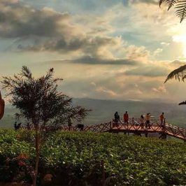 Menikmati Sky Park dan Spot Sunset Indah di Wisata Wayang Windu Panenjoan Pangalengan Bandung Selatan
