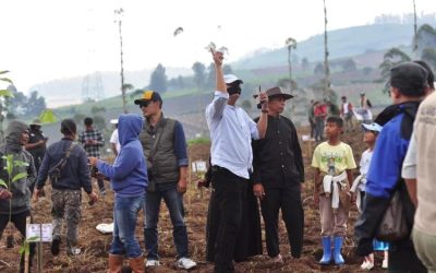 Petani Sayuran Pangalengan Bandung Tanam 50 Ribu Pohon sebagai Strategi Ketahanan Lingkungan dan Pertanian Modern
