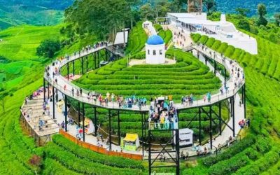 Wisata Pangalengan Nimo Highland Bikin Heboh! Pemandangan Seindah Ini Ternyata Ada di Jawa Barat
