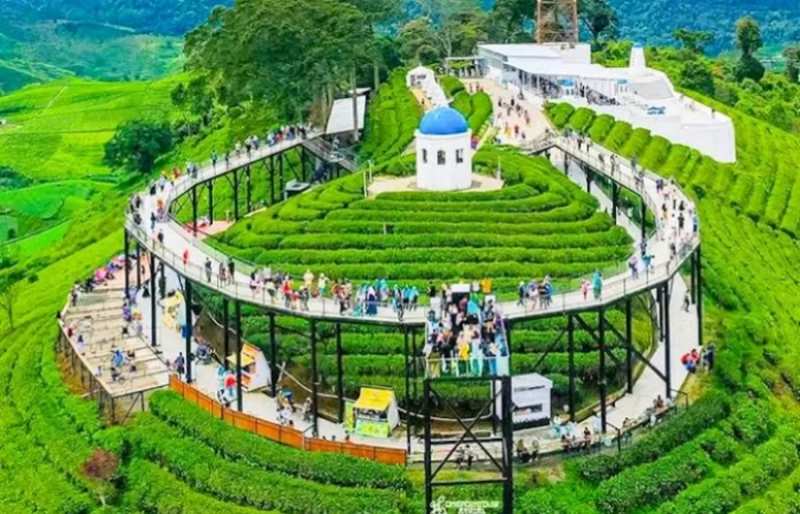 Wisata Pangalengan Nimo Highland Bikin Heboh! Pemandangan Seindah Ini Ternyata Ada di Jawa Barat